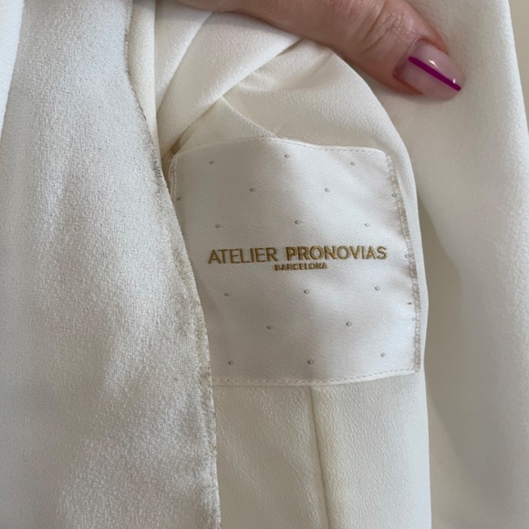 Pronovias RUA Wedding Gown: professionally cleaned,mermaid, sheer back. Size 12 - Picture 14 of 15